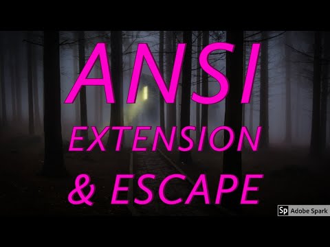 ANSI Extension And Escape Characters