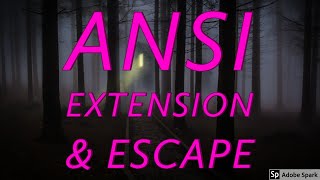 ANSI Extension And Escape Characters