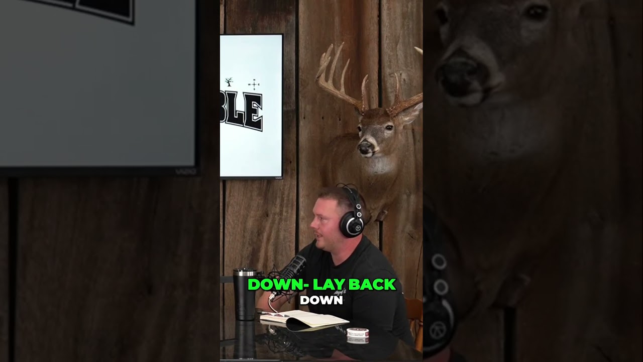 Animals Conserving Energy: Survival Secrets in Cold Weather 