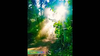 #nature #birdslove #earth #morning #thenaturehub