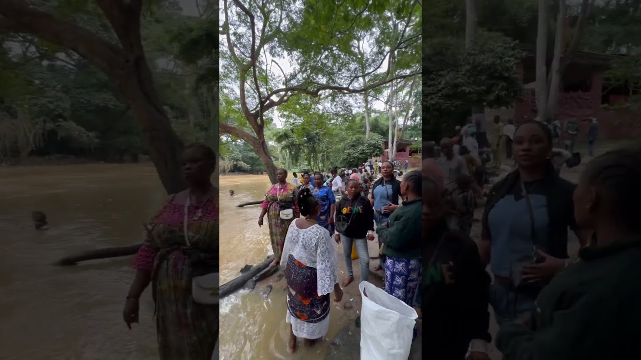 Preparing our offerings to Osun at the Osun River. 