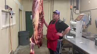 Beef Carcass 1