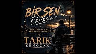 Bir Sen Eksiksin- Tarık ŞENOCAK