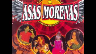 Asas Morenas - Te amo de Verdade Vol 11 (2010)