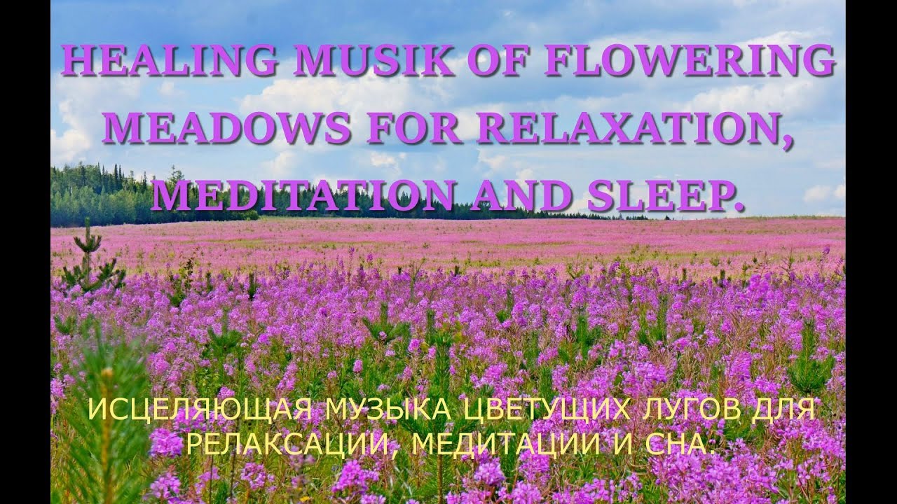 HEALING MUSIK OF FLOWERING MEADOWS FOR RELAXATION, MEDITATION AND SLEEP.