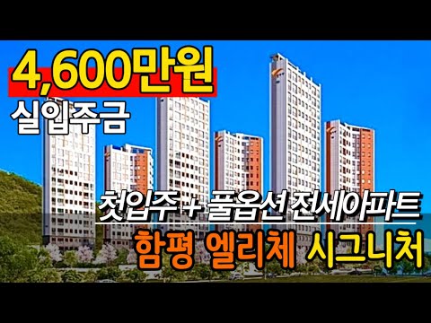 실입주금 4,600만원 전남 함평 엘리체 전세 아파트 33평 b타입 영상