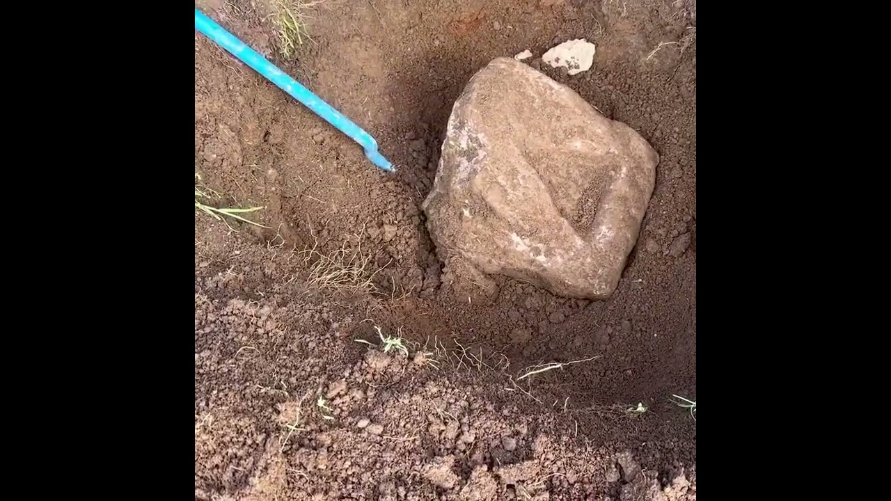 A Great Discovery from the Depths of History