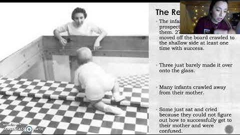 Calderon, Raquel - Influential presentation on Visual Cliff