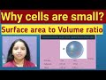 The Importance of Cell Size and Communication in Biological Processes