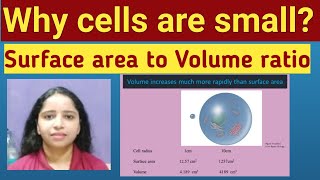 Why are cells small ? surface area to volume ratio by Dr.Komal