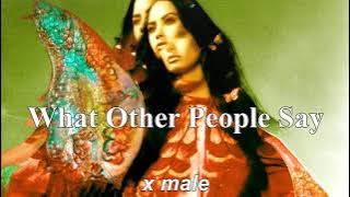 male version | Demi Lovato, Sam Fischer - What Other People Say