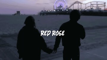 🥀 RED ROSE |Slow & Reverbed| (Lofi version)🥀#redrose #harmanhundal #punjabi