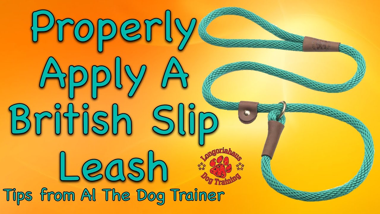 How To Properly Apply A British Slip Leash - Tips From Al The Dog