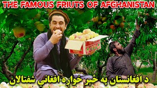 د خوږ هیواد خواږه تولیدات | شفتالان | Sweet Fruits Of Afghanistan | Peaches | HD