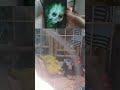 trio Nintendo heroine and boy Prank Threatened Zombies