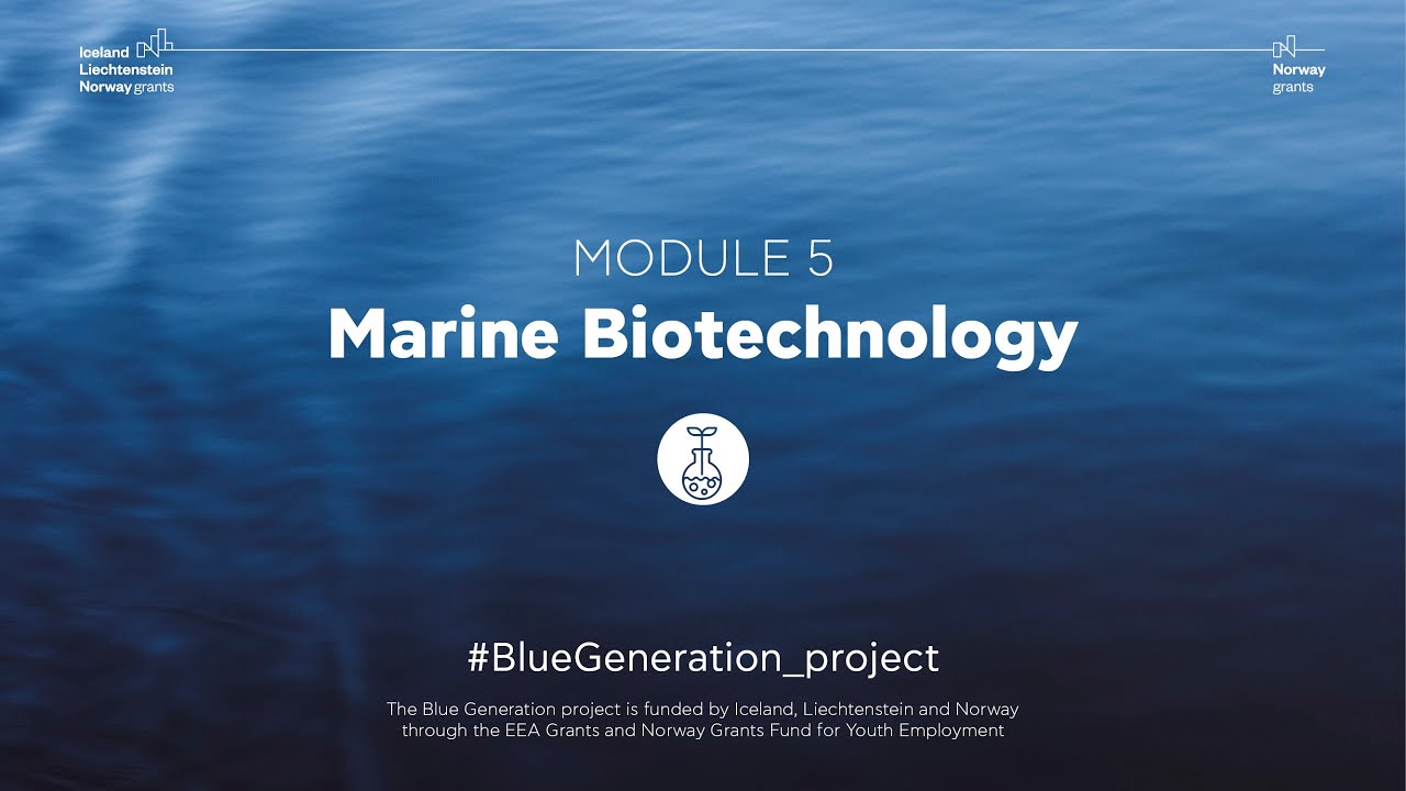phd marine biotechnology