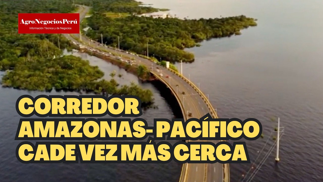 EE.UU. vs. China: La batalla por la ruta de la soya de Brasil a través de Perú ha comenzado