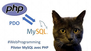 PDO : Utiliser les requêtes MySQL en PHP | Programmation web 9