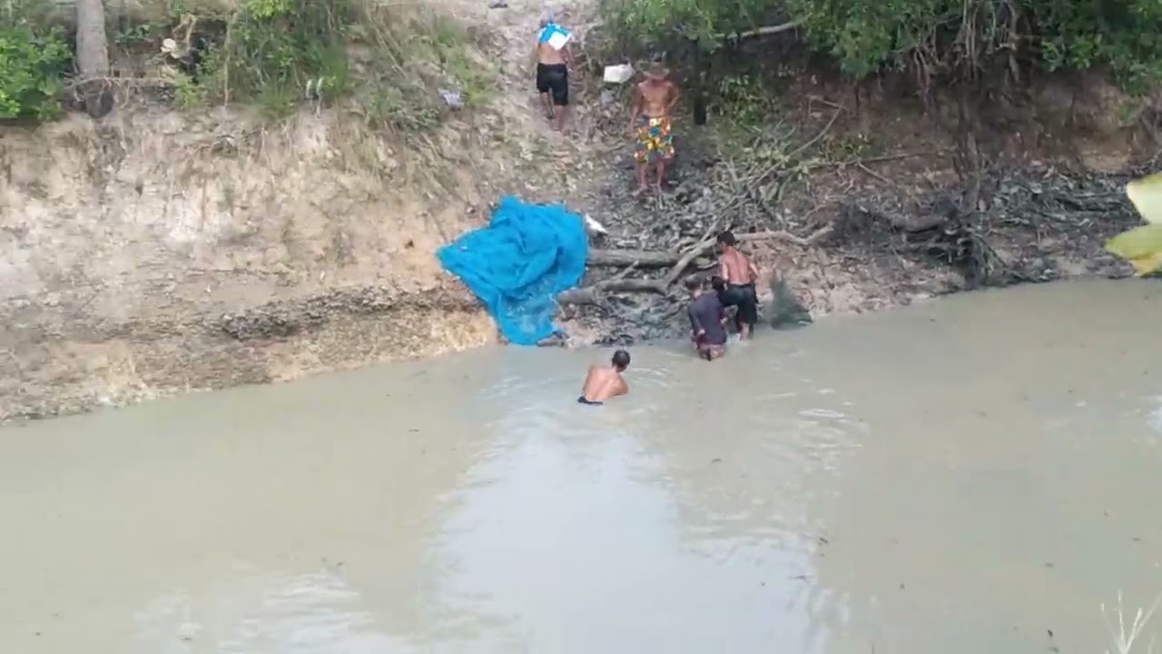 แทบซ็อคว่านแหหาปลามีแต่ปลาช่อนตัวใหญ่ๆ