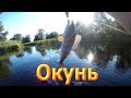 Рыбалка на окуня