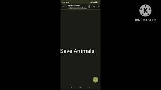 How To Transport Your Animash In Game Tortorial Easy
