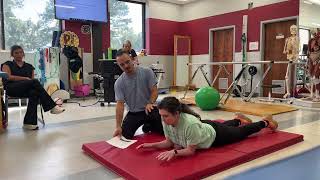 Rehab: PreAmb, Quadruped