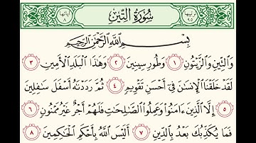 سورة التين للقارئ عبدالله الموسى