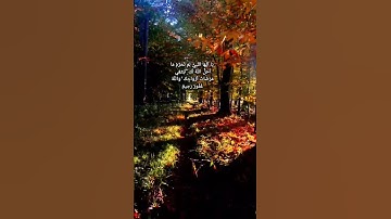 #سورة التحريم بصوت اسلام صبحي ♥️#القرآن الكريم #سورة التحريم
