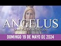 Ángelus de Hoy DOMINGO 19 DE MAYO DE 2024 ORACIÓN DE MEDIODÍA