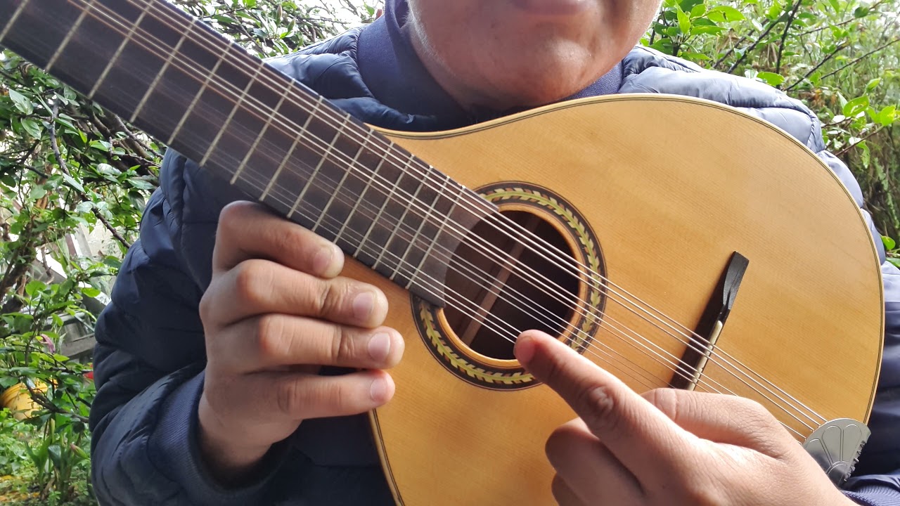 Curso Intensivo Mandolina Sesión 1/50 Prof Fernando Ortiz Pichardo. Aprende A Tocar 100% Garantizado