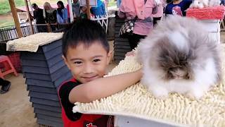 Wisata Bukit Kelinci Payakumbuh
