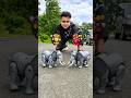 AMR 2 Ta Elephant 🐘 Unboxing Dekho 🔥