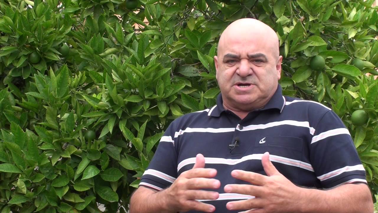 Property Development System - Review