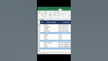 !! Begini cara bikin nomor urut otomatis !!#exceltips #excelhack #exceltricks