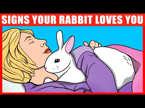 वीडियो: यह बताने के 3 तरीके कि क्या आपके खरगोश की आंखें रो रही हैं