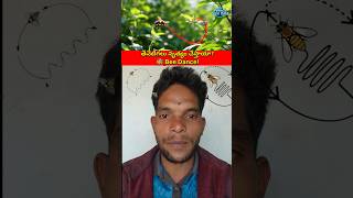 👉 తేనెటీగ నృత్యం అంటే ఏమిటి? 🐝 | Bee Dance Telugu Facts#shorts #ytshorts #honey #bee #trending