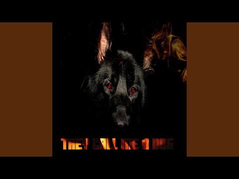 They call me a dog