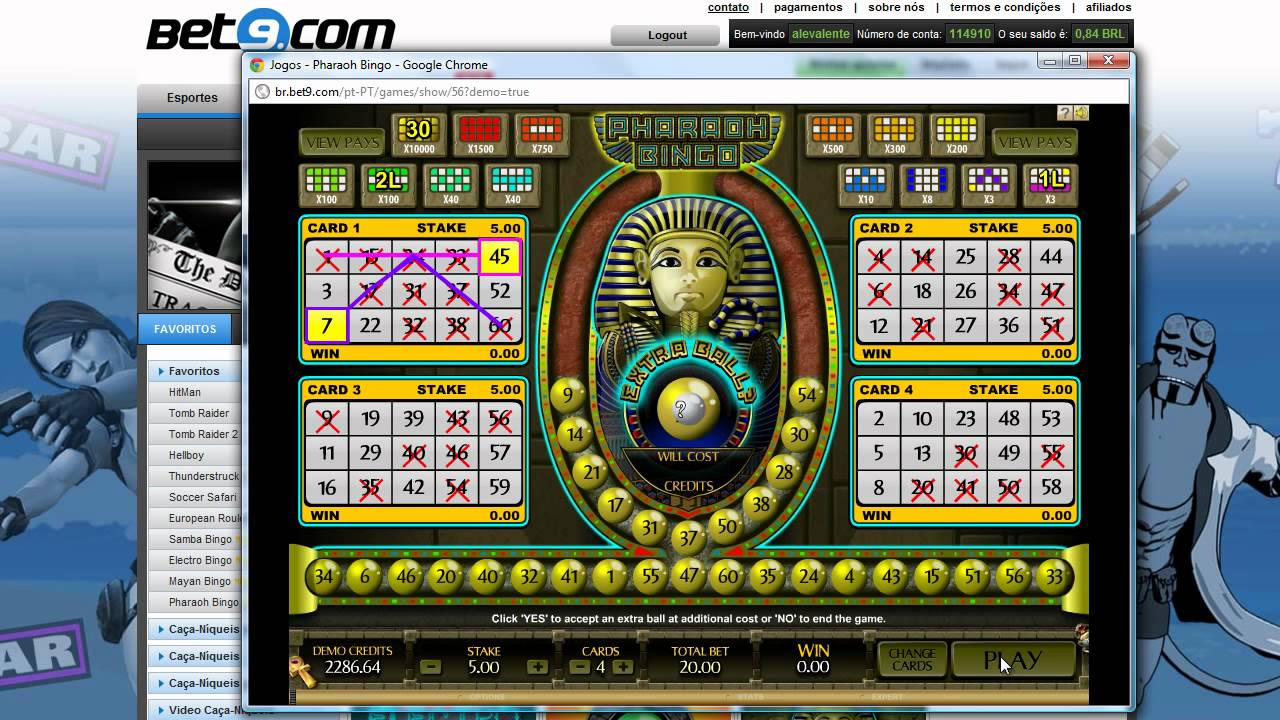 jogar video bingo gratis