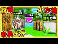 Minecraft 如果麥塊【方塊是活的】整個世界大亂😂 !! 5分鐘【摧毀伺服器】❤奇異生存❤ !!【超級爆笑】!! 全字幕