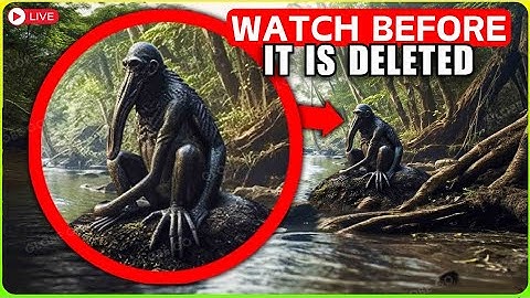 Drone Capture Something While Flying Over Jungle BUT WHEN ZOOM IN, No One Can Believe It Documentary