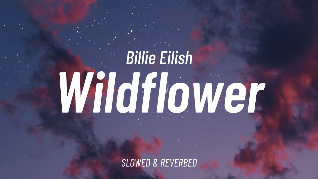 🎵 Wildflower - Billie Eilish (Slowed + Reverb) | With Lyrics
