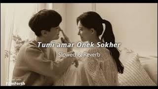 Tumi Amar Onek Shokher - Piran Khan ft. Jony |Slowed & Reverb | Safa Kabir |Jovan | Hime | তুমি আমার