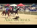 The trails  the aiken training track