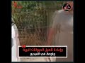 قرد هارب يثير الضجة في ولاية بورصة شمال غربي تركيا قرد هارب يثير الضجة في ولاية بورصة شمال غربي تركيا