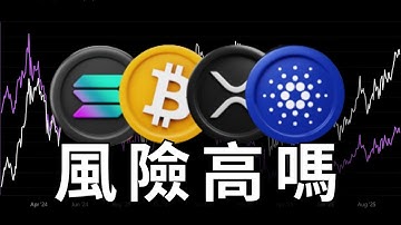 ETH SOL ADA 風險如何 ? XRP風險最高 !?