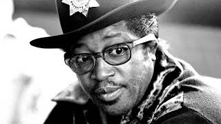Bo Diddley - Make A Hit Record