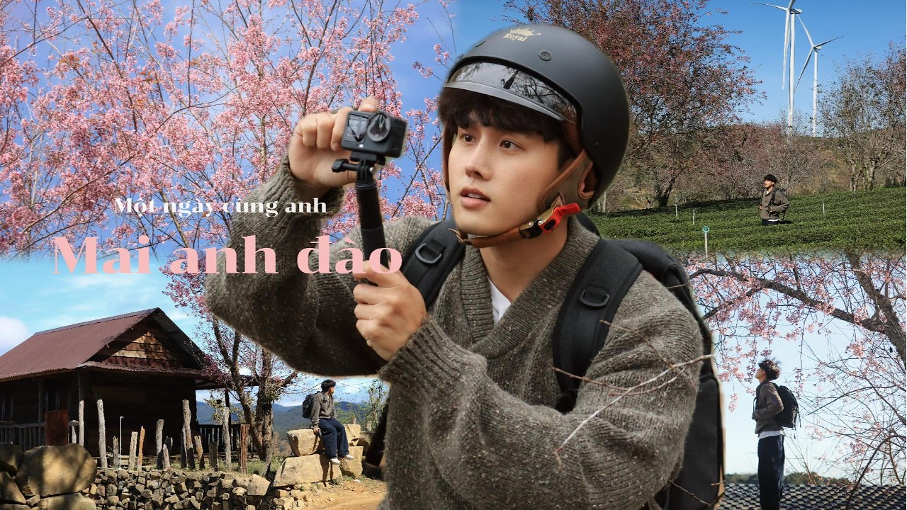 Một ngày cùng anh   Mai anh đào ở Đà Lạt