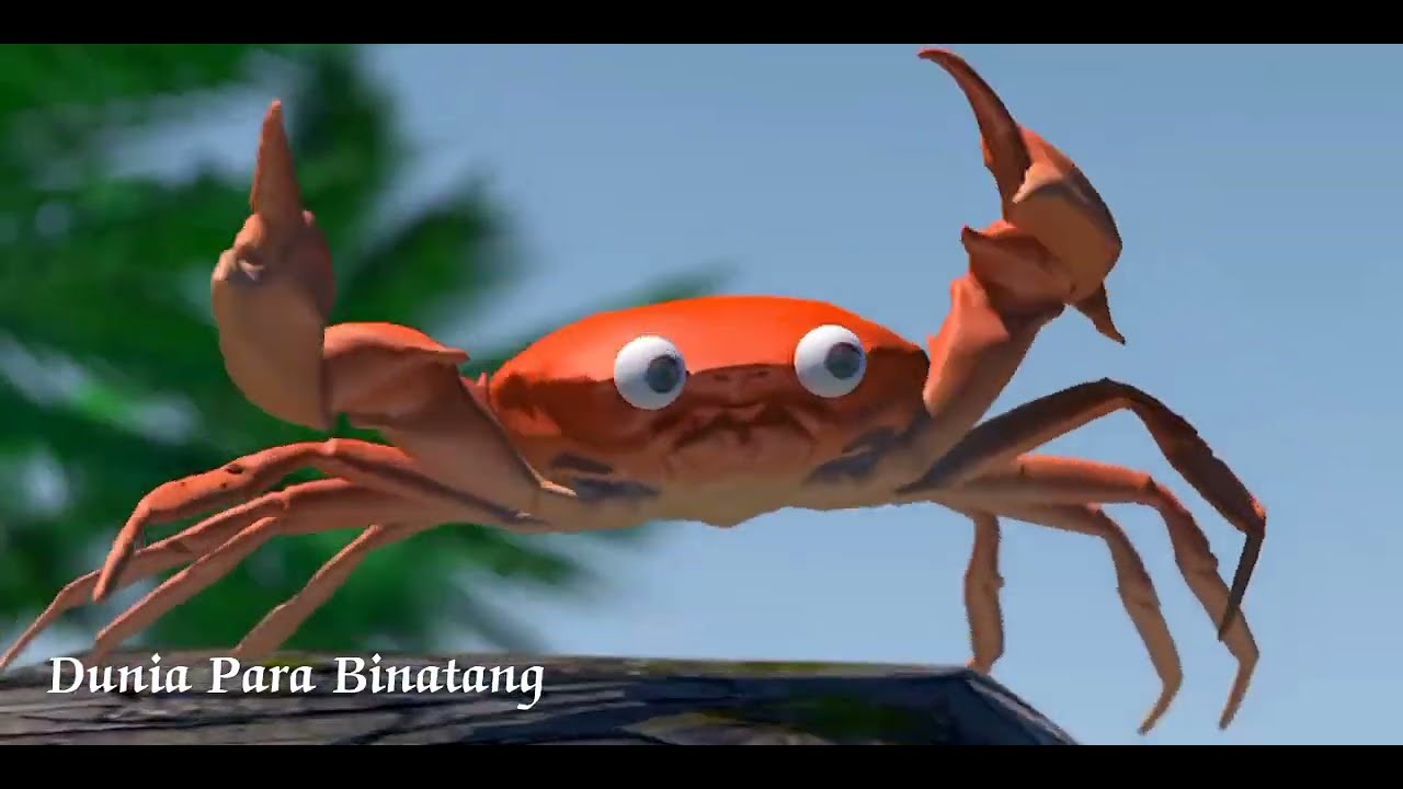 Kepiting Joget Tiktok, Crab Dance YouTube
