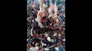 cà xỉu muối đặt sản hà tiên kiên giang