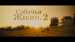 Собачья жизнь 2 - Русский трейлер 2019 Дубляж